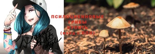 гидропоника Медвежьегорск