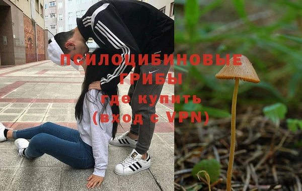 гидропоника Медвежьегорск
