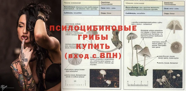 а пвп мука Медногорск