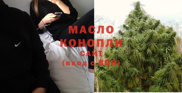 крисы Магас
