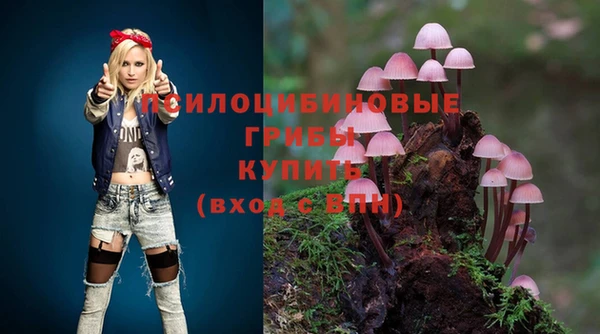 гидропоника Медвежьегорск